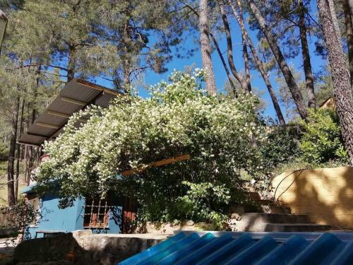 La Casita Del R�o.