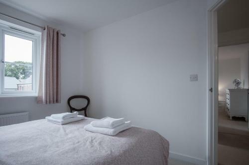 Maes Yr Odyn - 4 Bedroom Holiday Home - Narberth