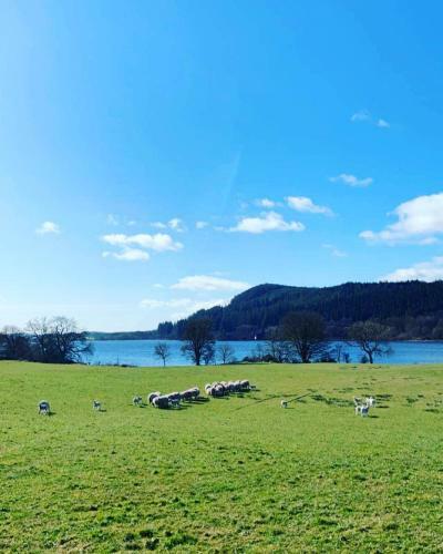 Cozy 2 Bedroom Cottage With Log Burner On Loch Ken