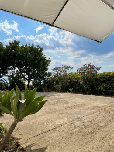 Casa Vacanze Piedigrotta