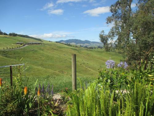 Kauri Lodge