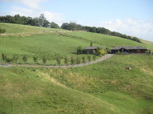 Kauri Lodge