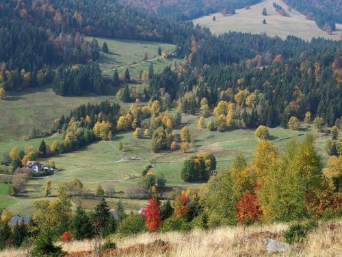 Apartamento B2 Schwarzwald-ferienwohnung