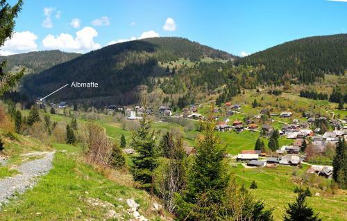 Apartamento B3 Ferienwohnubg Im Schwarzwald