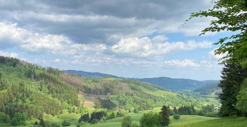 Mini Bungalow ?sonnenschein? Im Th�ringer Wald