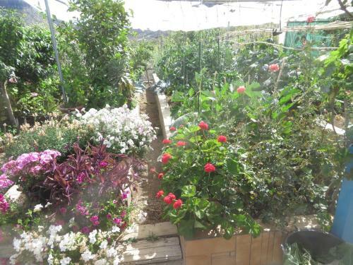 Apartamento Gartenapartment Finca Cortez