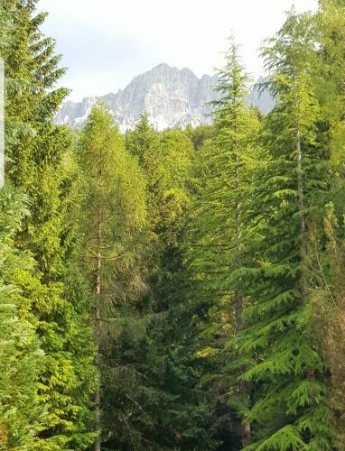 Bed & Breakfast Fuga In Montagna