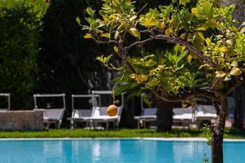 Apartamento Monolocale Per Vacanze Piscina Vicino Mare M181