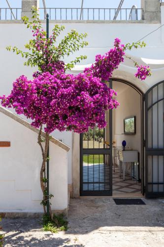 Apartamento Monolocale Per Vacanze Piscina Vicino Mare M181