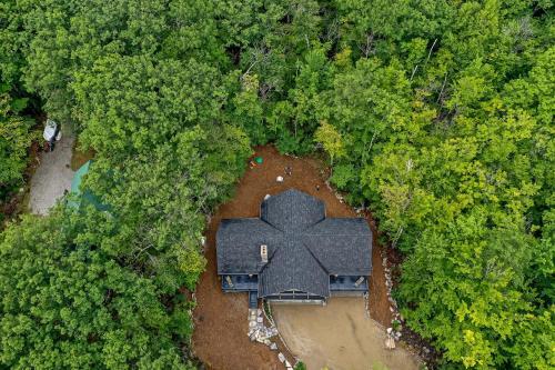 The Tree House