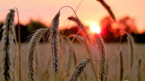 Apartamento Janischs Fewo Im Spreewald