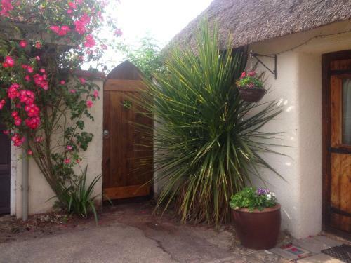 Thatched Seaside Country Cottage For Two