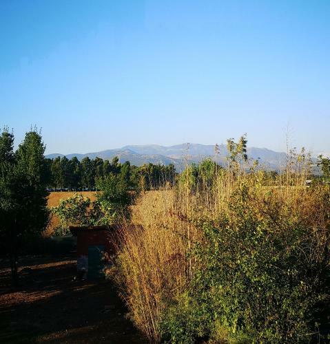 Albergue Eco House San Michele