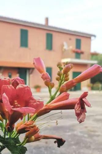 Albergue Eco House San Michele