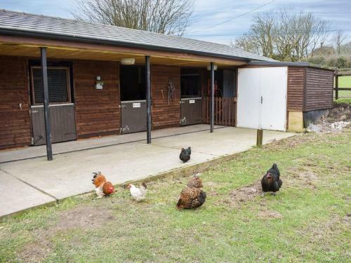 Apartamento Hillside Farm Retreat