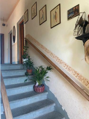 Bed & Breakfast La Palazzina