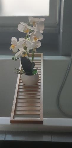 Apartamento La Casa Di Noemi