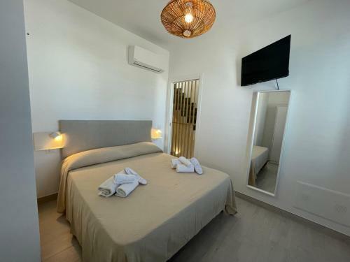 Shiar� Apartments