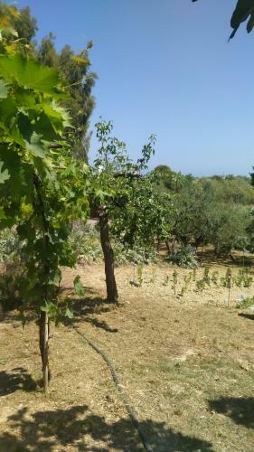 Apartamento Relax Al Mare