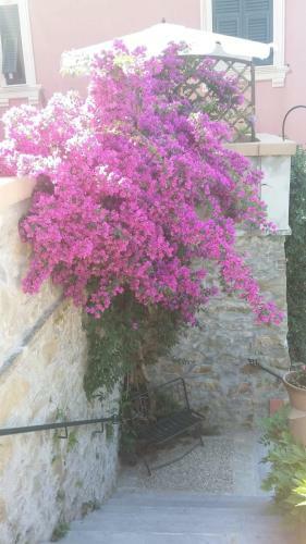 Apartamento Casa Delle Ortensie