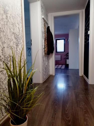 Apartamento My Happy Place