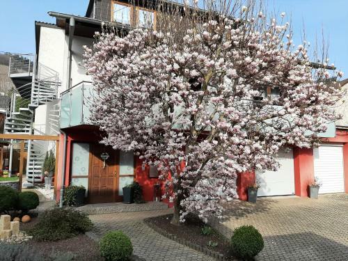 Apartamento Magnolia