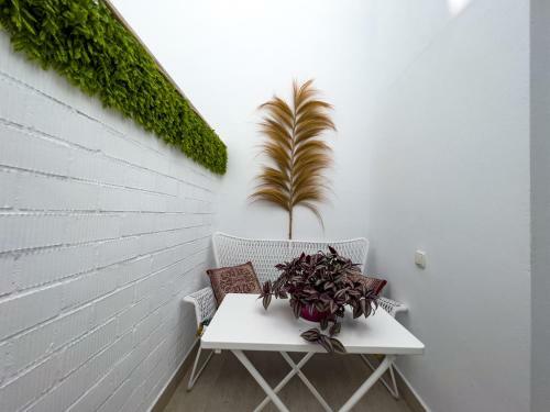 Apartamento Joya Del Mar B-d