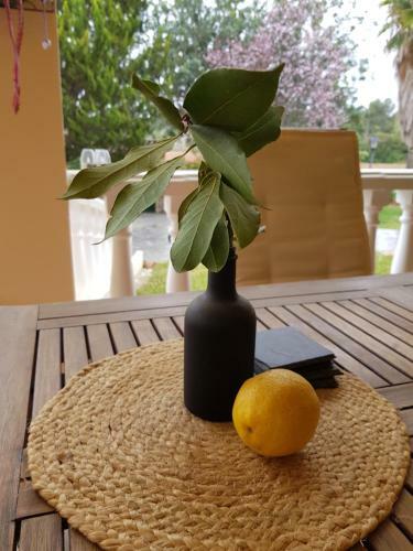 Villa Casa Vitalis