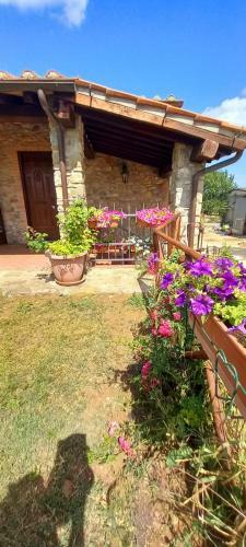 Agriturismo La Casina