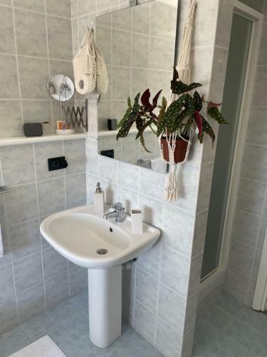 Hostal Maniman