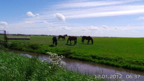 Bed & Breakfast Prins Hendrik