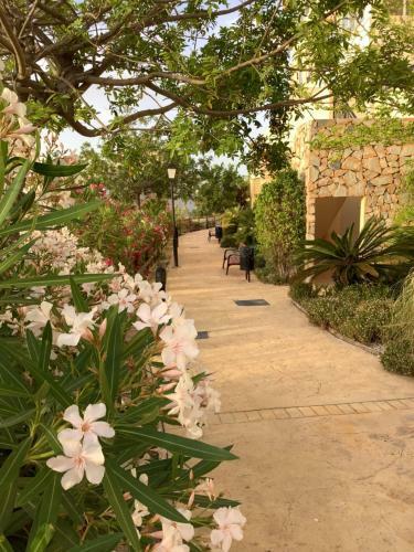 Apartamento Appartement Bella Vista