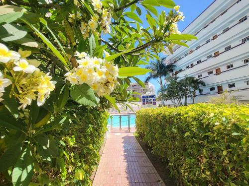 Vv Las Camelias Apartment D01