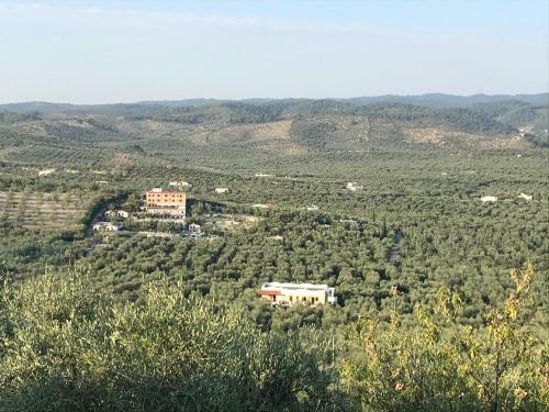 Apartamento Residenza Celle Vieste