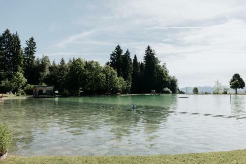 Apartamento Rosenalm Scheidegg