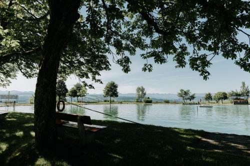 Apartamento Rosenalm Scheidegg