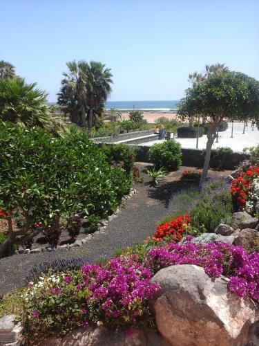 Apartamento Sol Y Luz