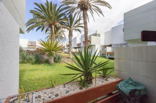 Apartamento Primavera 55