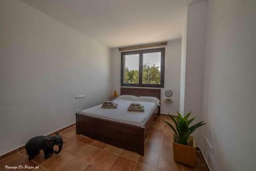 Villa Deluxe Water Con Gran Piscina Privada