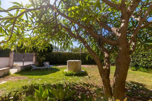 Nice To Stay, Holiday Home