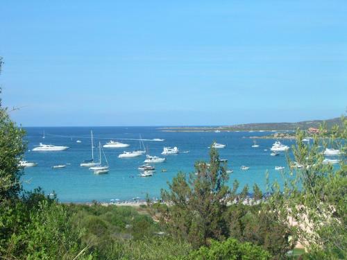 Apartamento Luxury Liscia Di Vacca - Porto Cervo C