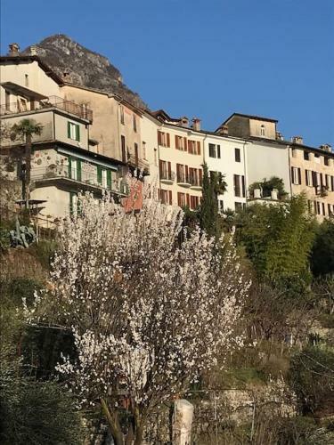 Historic Villa With Magnificent Lake Views