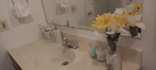 Apartamento Comfortable Beautiful House! 8 Guest!