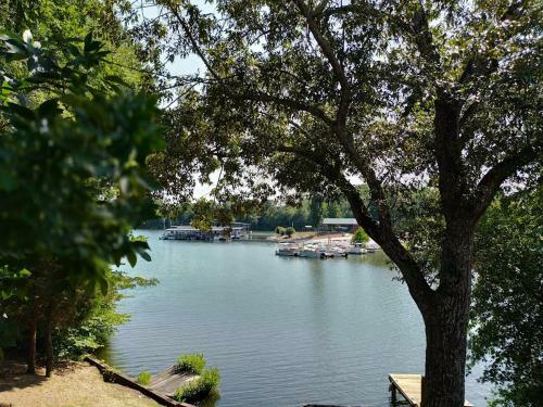 Lakefront Home At Lake Chickamauga! Walk To The Marina!