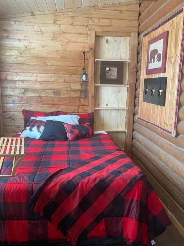 Mama Bear Cabin At Bear Family Haven