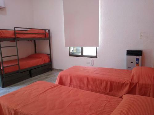 Nomades Hostel