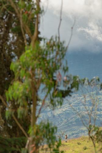 San Seb�stian, Caba�a De Monta�a