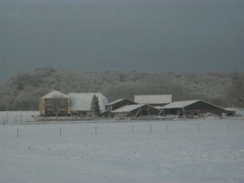 Holiday Home Vakantiehuisjes De Betuwei
