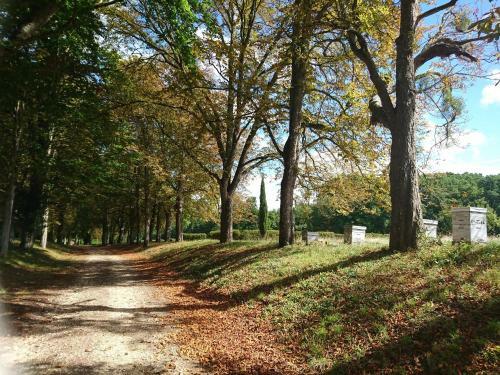 Bed & Breakfast Manoir de La R�moni�re