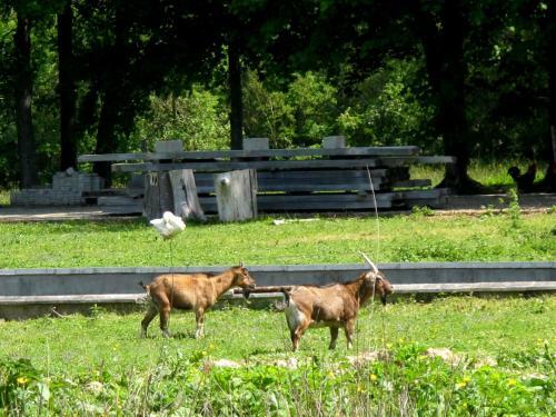 Bed & Breakfast Manoir de La R�moni�re